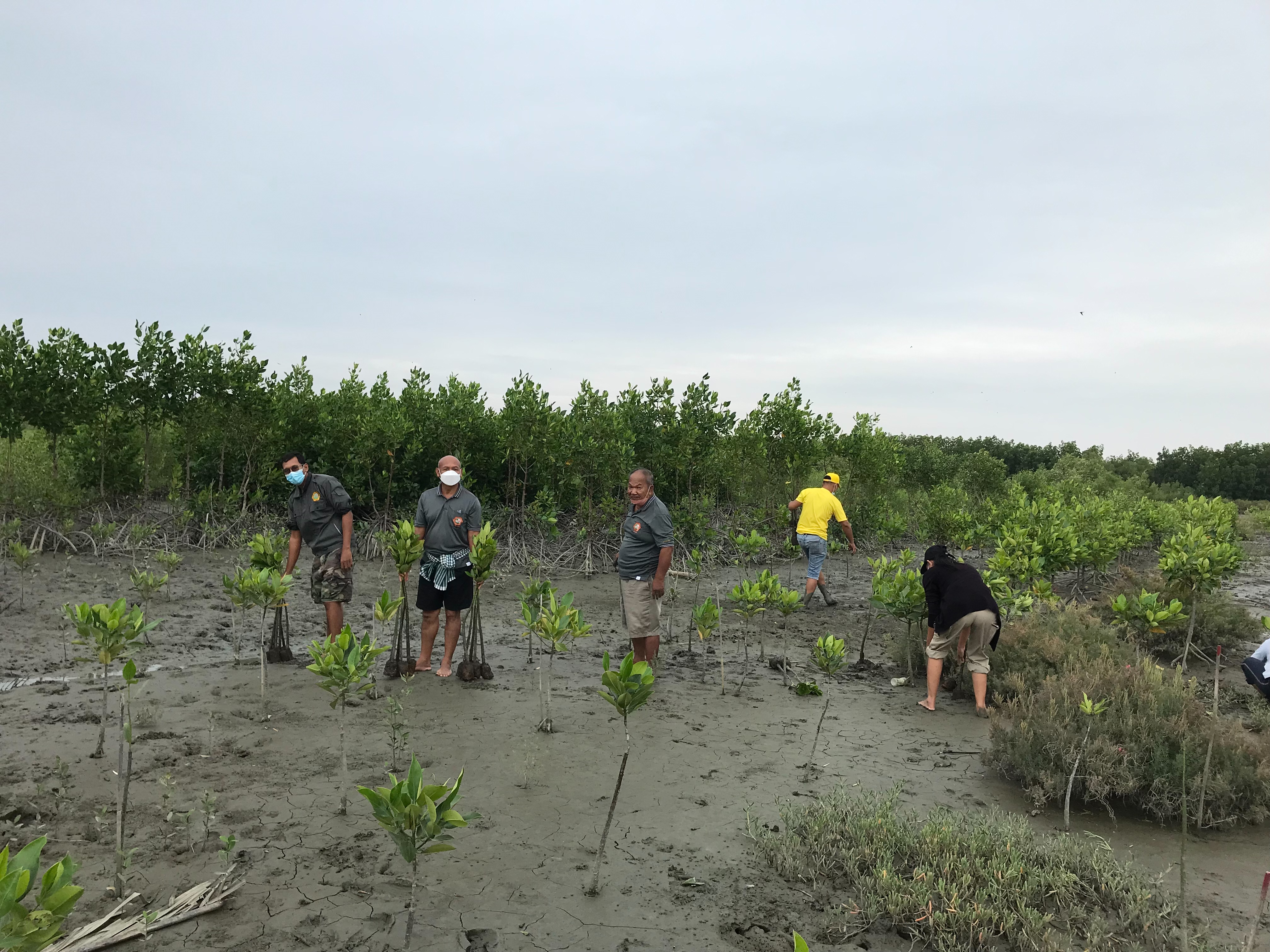 1 ธันวาคม 2564 กิจกรรมปลูกป่าชายเลน หมู่ 3 บ้านพะเนิน ต.แหลมผักเบี้ย อ.บ้านแหลม จ.เพชรบุรี เป็นกิจกรรมลดโลกร้อน เพิ่มพื้นที่สีเขียว ภายใต้การสนับสนุนของศูนย์วนศาสตร์ชุมชนเพื่อคนกับป่าและมูลนิธิประชาคมราชบุรี ร่วมกับผู้นำท้องถิ่นองค์การบริหารส่วนตำบลแหลมผักเบี้ย และชาวบ้านพะเนิน