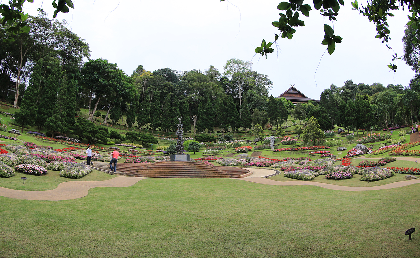image06