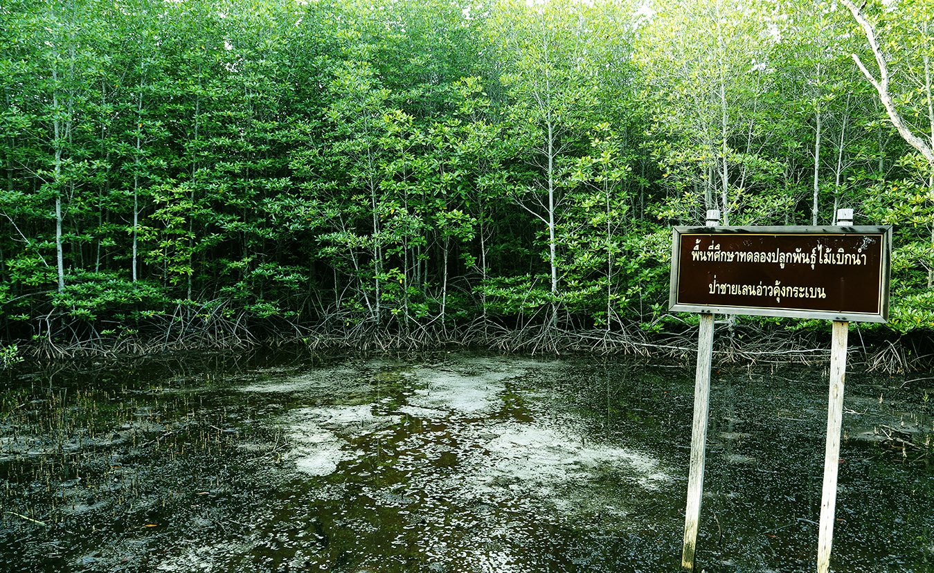 image03