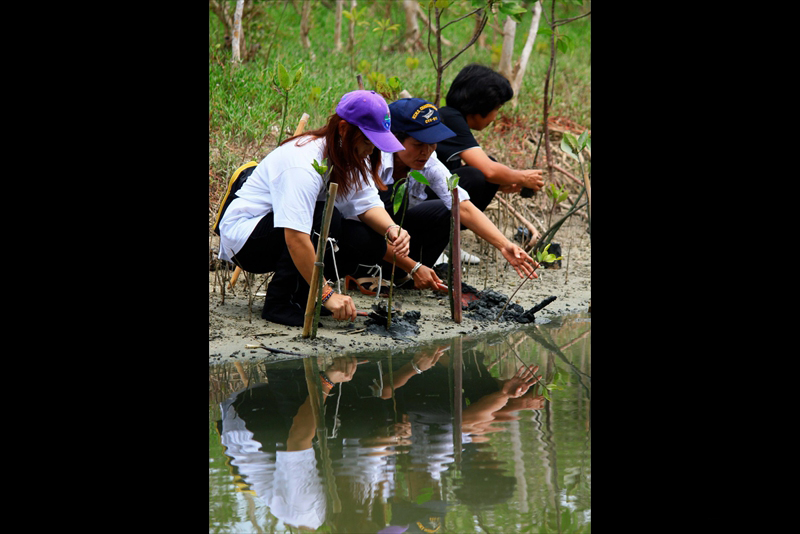 รางวัลชนะเลิศอันดับ 3นายกฤษฎา นกอยู่