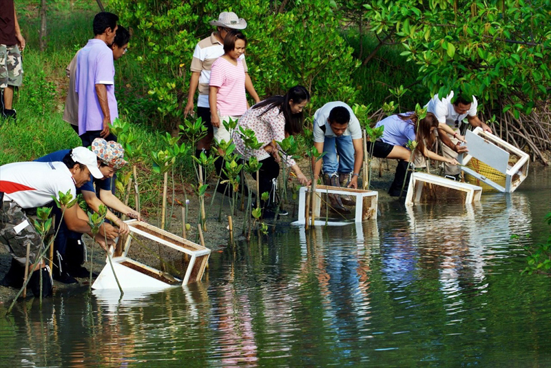 รางวัลชมเชย นายประพันธ์ ไกรศักดาวัฒน์